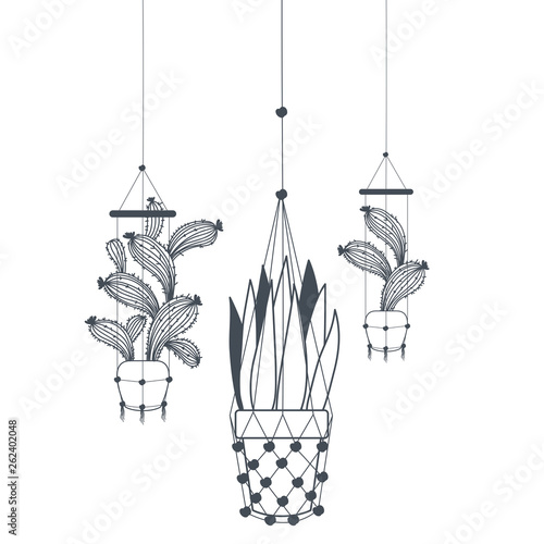 houseplants on macrame hangers icon