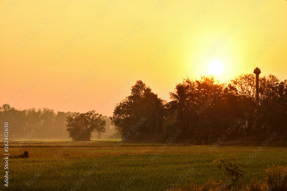 The sun rises in the morning in the fields with faint fog.