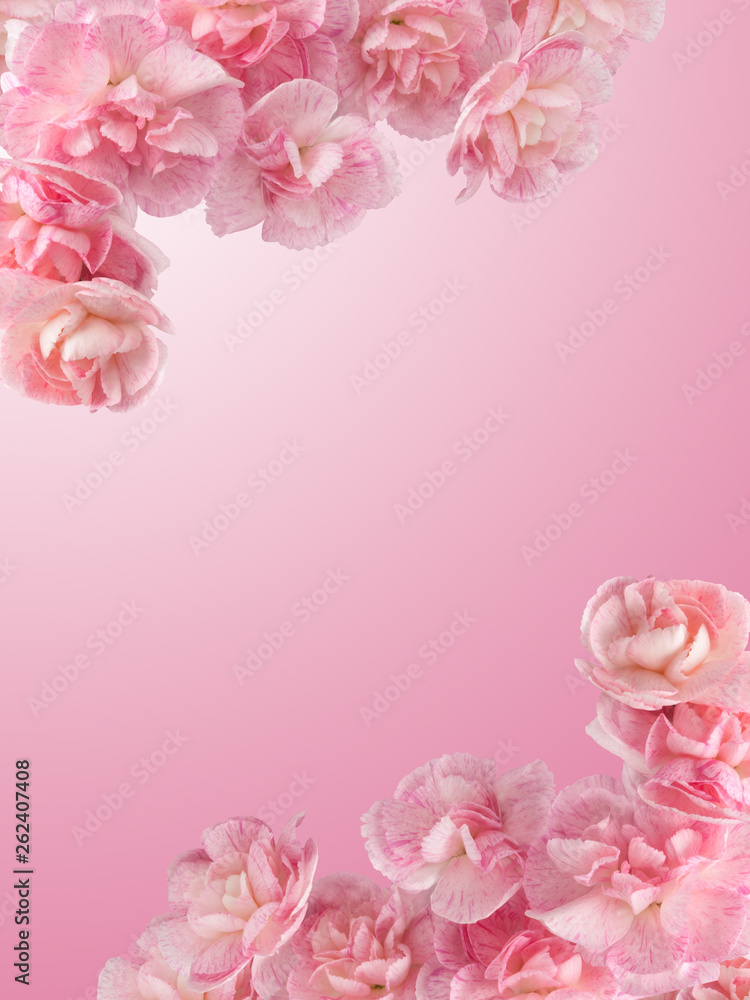 Mother’s Day. Carnation on a pink gradient background. Greeting Card with Flowers. Gift for Mom, Woman, Teacher. Wedding Invitation. Festival Poster. Present. Vertical Banner. Spring Sale. Mother’s Day. Carnation on a pink gradient background. Greeting Card with Flowers. Gift for Mom, Woman, Teacher. Wedding Invitation. Festival Poster. Present. Vertical Banner. Spring Sale.