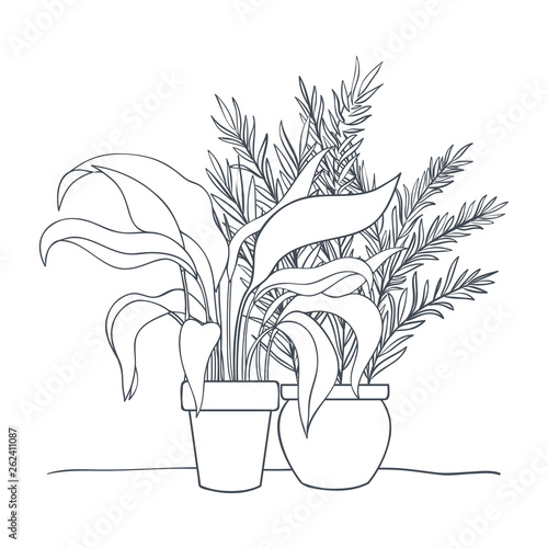 houseplants with potted isolated icon