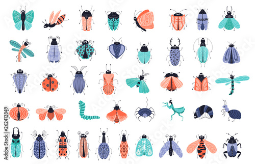 Vector cartoon bugs