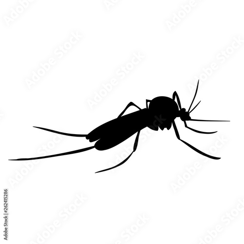 vector, isolated, mosquito silhouette, insect