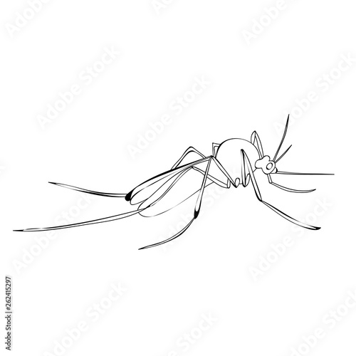 isolated mosquito insect sketch