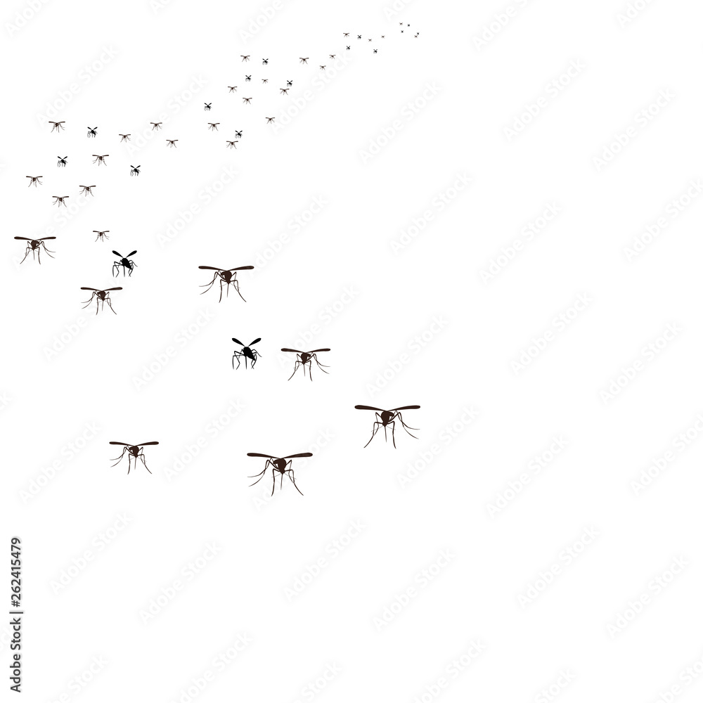  isolated, a flock of insects mosquitoes flies