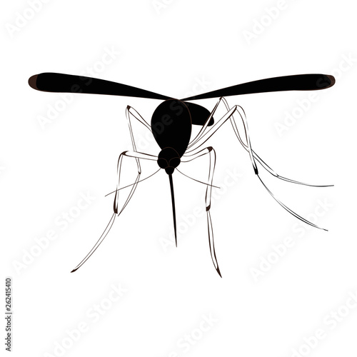 isolated, mosquito silhouette, insect