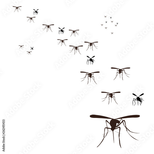 isolated, a flock of mosquitoes flying, silhouette