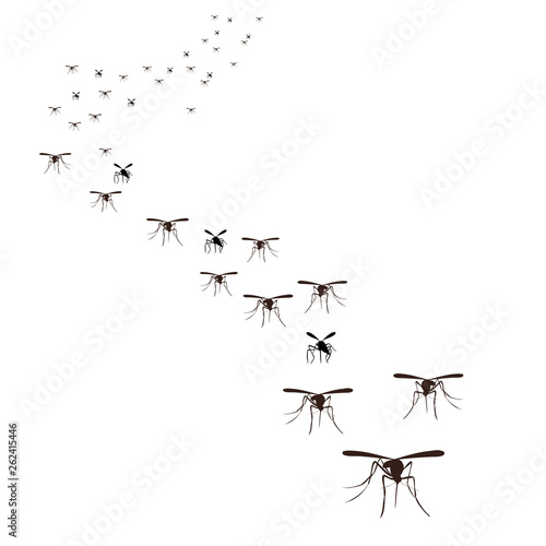 flock of insects mosquitoes flying, silhouette