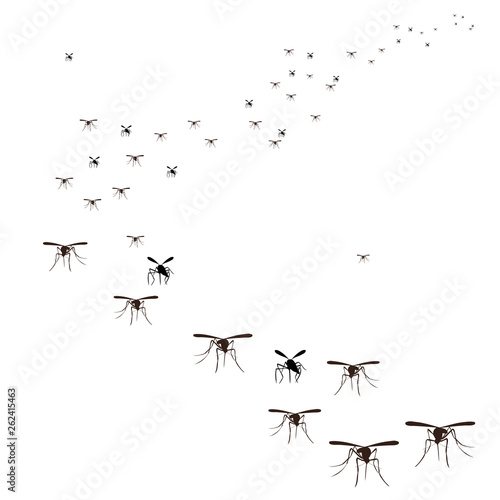 vector, isolated, flock of insects mosquitoes flying, silhouette