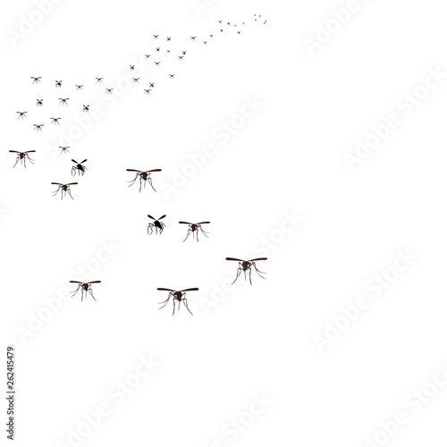  isolated, a flock of insects mosquitoes flies