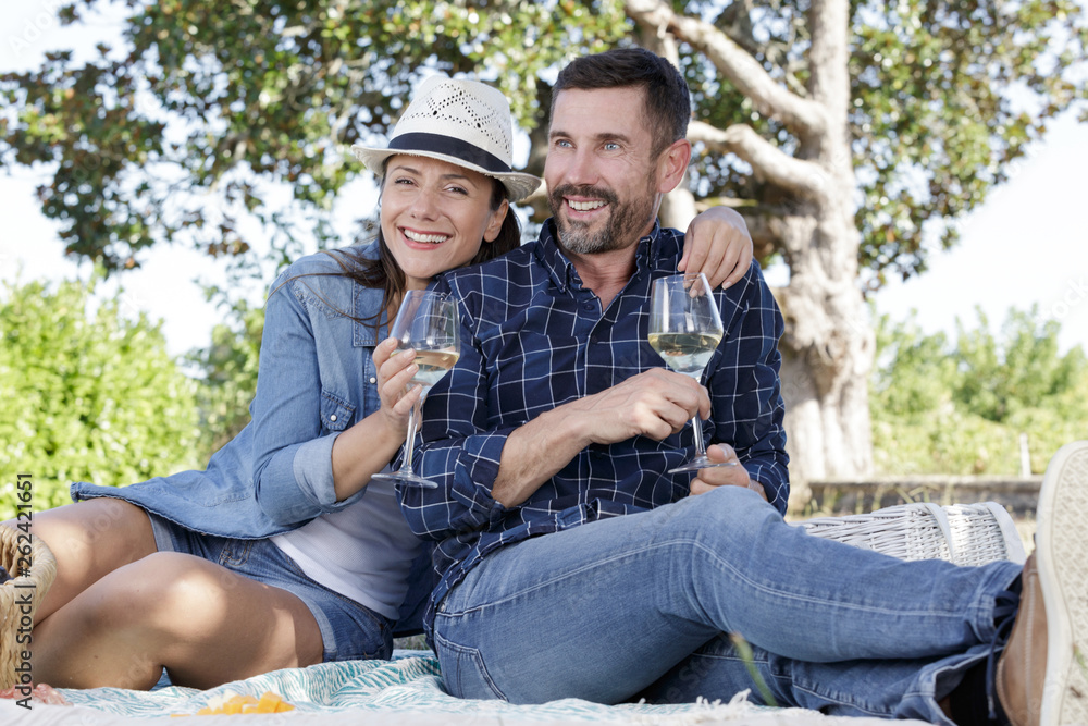 Fototapeta premium couple having a picnic and holding glasses of white wine