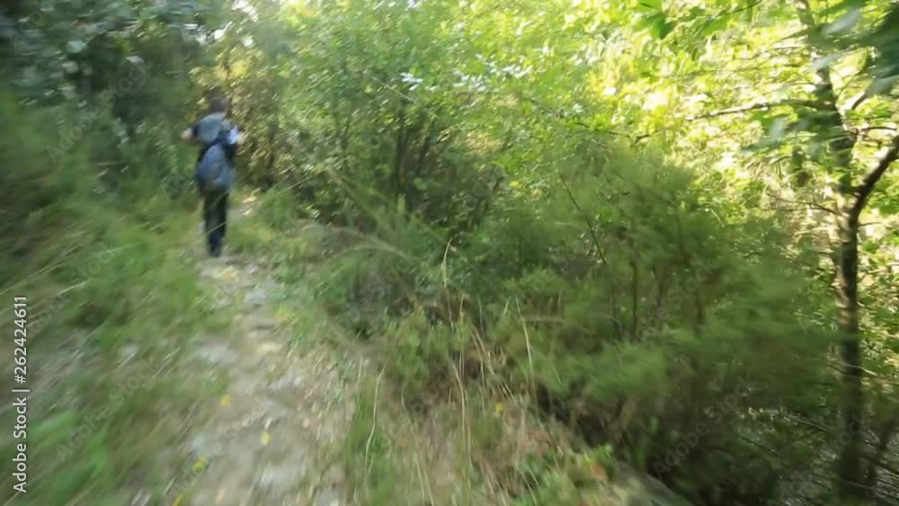 the traveler goes through the mountains on a hot summer day the traveler goes through the mountains on a hot summer day