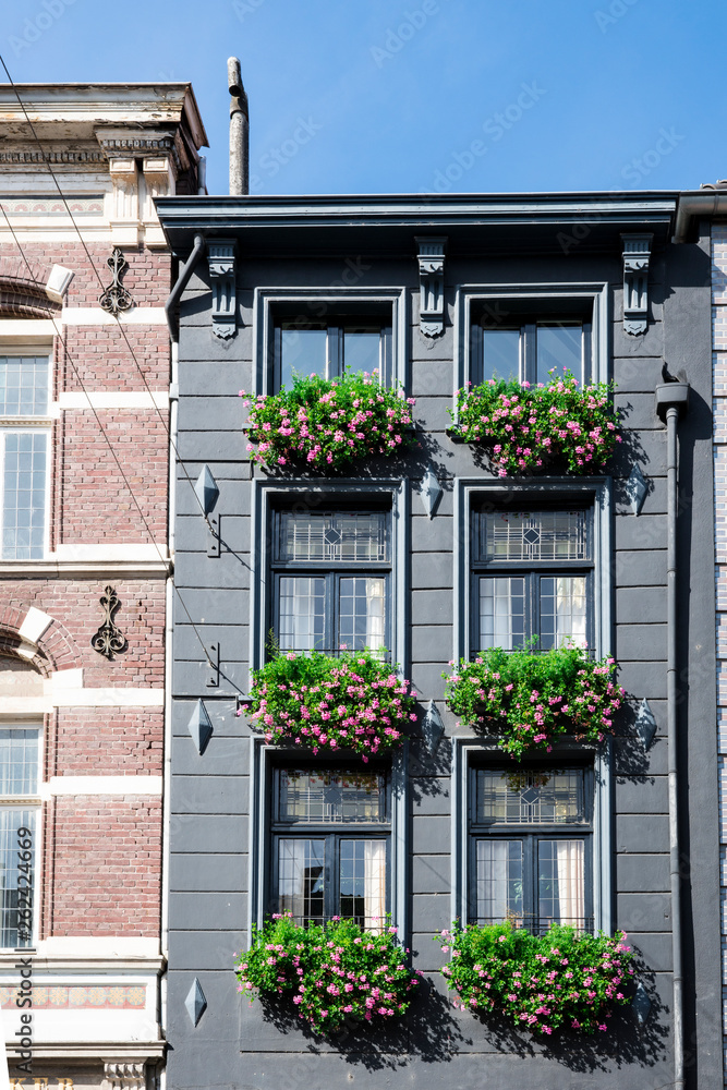 grey house with geranium in Roermond, The Netherlands