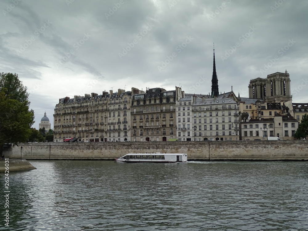 panorama of Seine river in paris, historical building on embenkment, behind them towers of Notre Dame cathedral, cloudy sky, a bit posterized