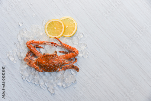 Seafood crab steamed cooked lemon and ice on white wooden background / Blue Swimming Crab