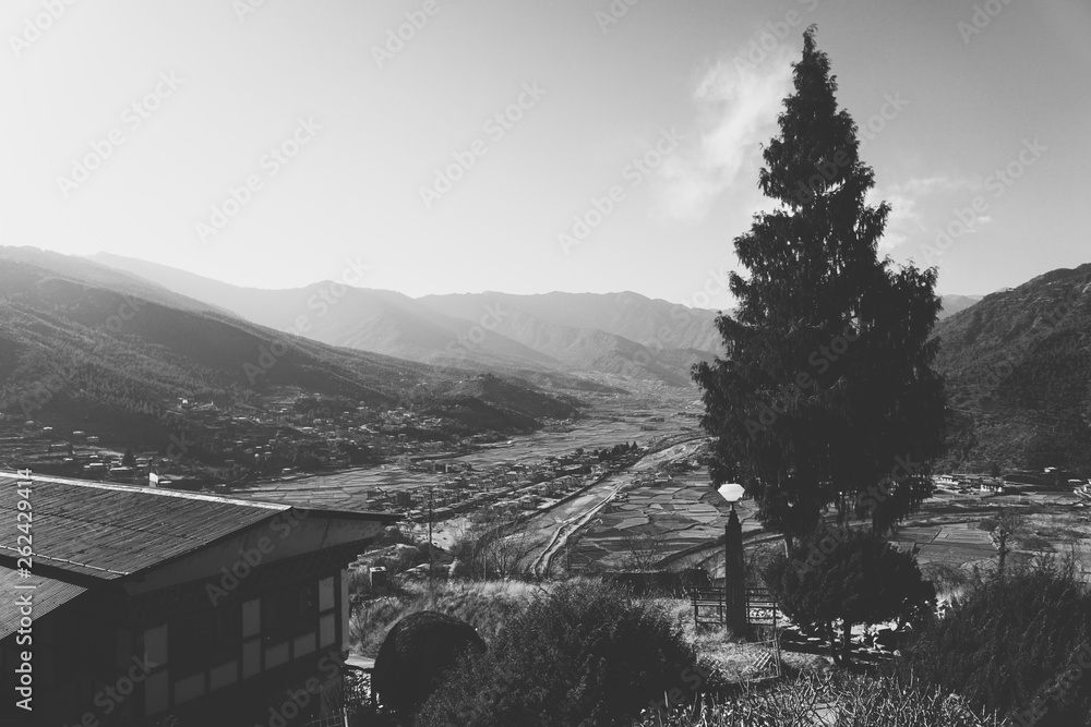winter in the mountains, an artistic edit of image captured of Paro city nested in Himalayan valley in monochromatic and Christmas tree in silhouette  