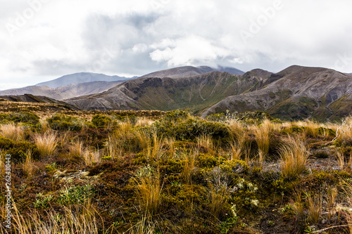 Northern Circuit, Tongariro National Park