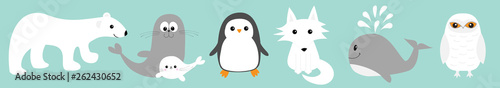 Arctic polar animal set line. White bear, owl, penguin, Seal pup baby harp sea lion fox wolf whale albatross seagall. Kids education cards Cute cartoon character Blue background Flat design