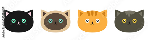 Cat head set line. Siamese, red, black, orange, gray color cats in flat design style. Cute cartoon character. Different eyes. White background. Isolated.
