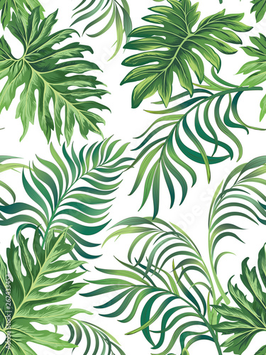  Trendy vector pattern in tropical style. Seamless botanical print for textile, print, fabric on the white background.