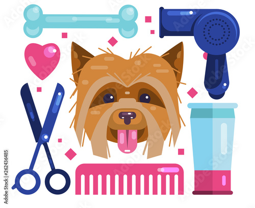 Dogs grooming. Blow-Dry, Cut and Comb