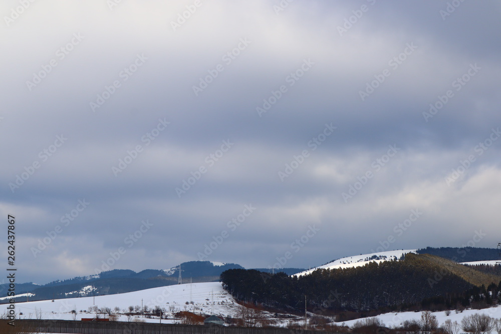 Mountain winter landscape of snowed forest