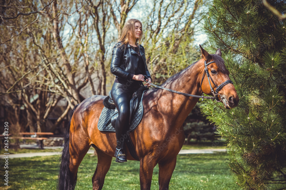 Rider elegant woman talking to her horse. Portrait of horse pure breed with woman. Equestrian horse with rider playpen for horses background 