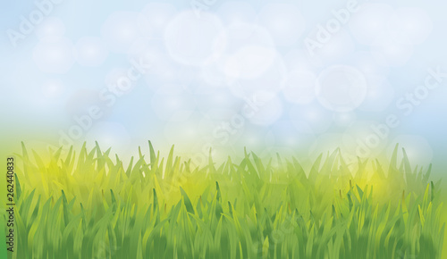 Frühlingswiese in Morgensonne mit Bokeh