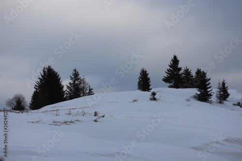 Mountain winter landscape of snowed forest © jbproduction02