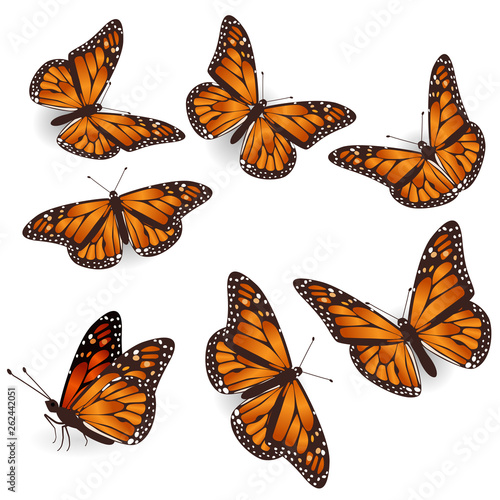Naklejka Wektor pomarańczowy tropikalny latający motyle ilustracja zestaw