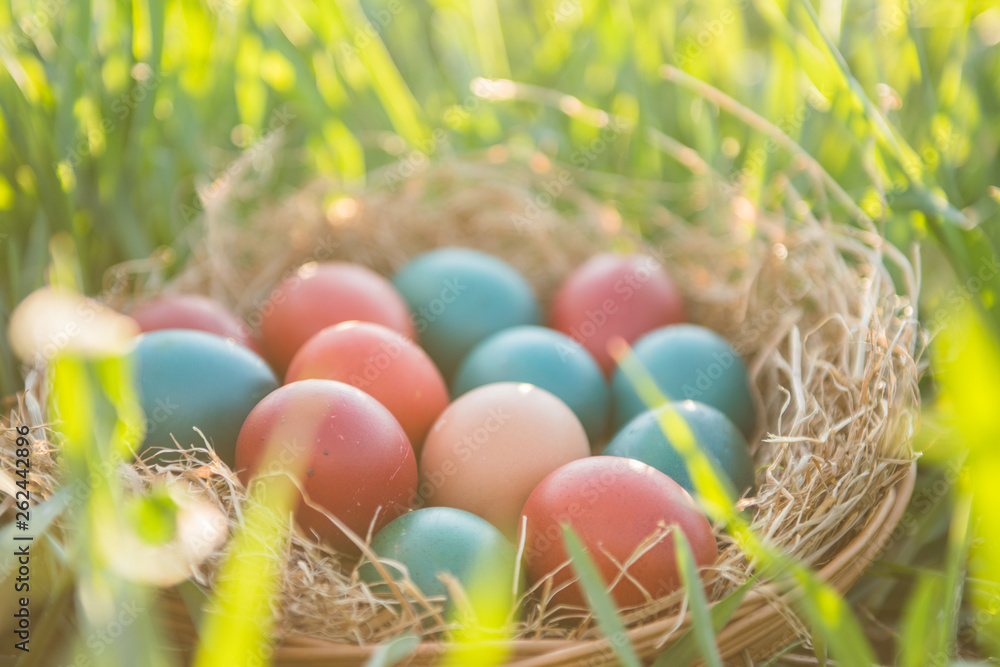 basket with painted colorful easter eggs basket with painted colorful easter eggs