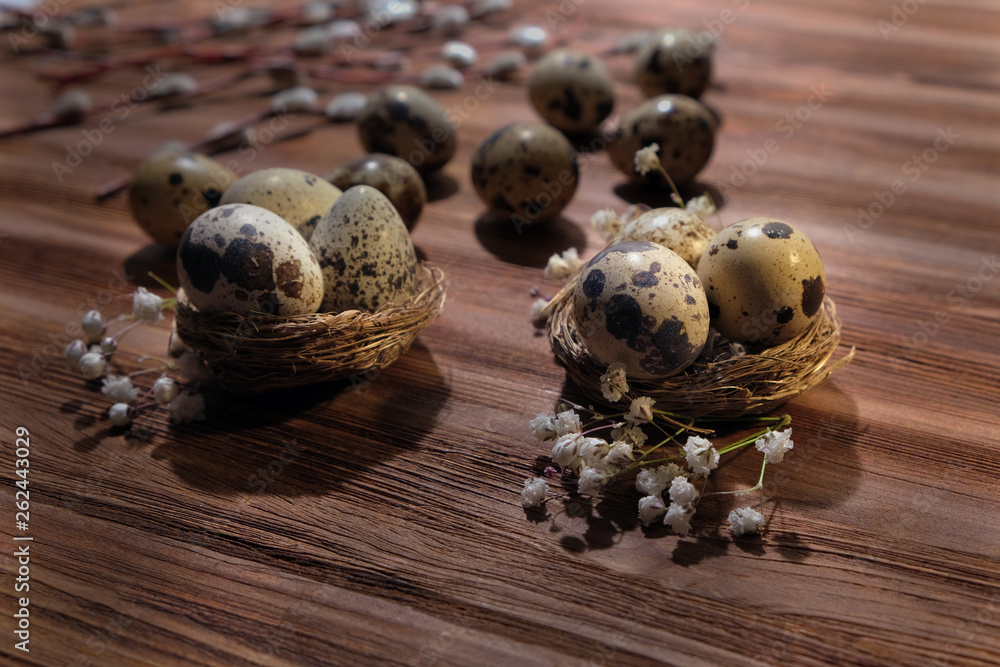 quail eggs in nests and willow branches on wooden surface quail eggs in nests and willow branches on wooden surface