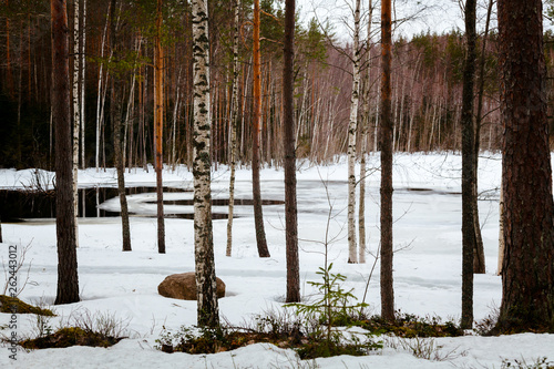 Natural landscape - forest, lake are under snow in spring in March