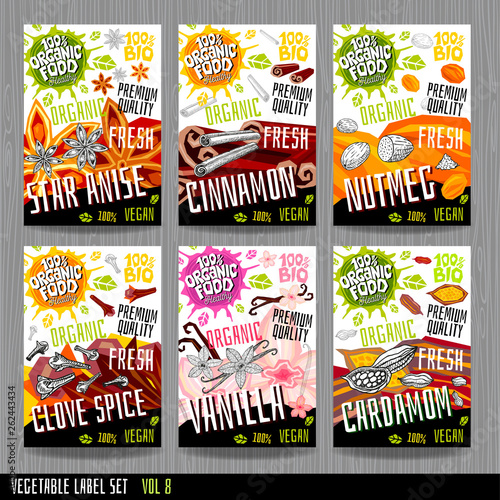 Food label set stickers collection vegetable labels spices package design. star anise, nutmeg, cinnamon, clove spice, cardamom, vanilla, nuts. Organic, fresh, bio, eco. Hand drawn vector illustration.