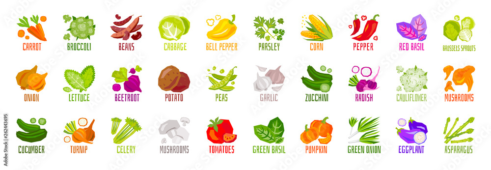 Big set of vegetables nuts herbs spice condiment icons isolated on white background. Colorful leaves lettering. Concept graphic vector element.