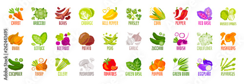 Big set of vegetables nuts herbs spice condiment icons isolated on white background. Colorful leaves lettering. Concept graphic vector element.