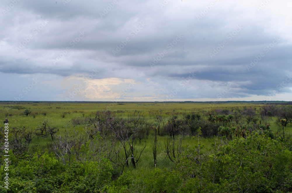 Obraz premium landscape with green field and cloudy sky