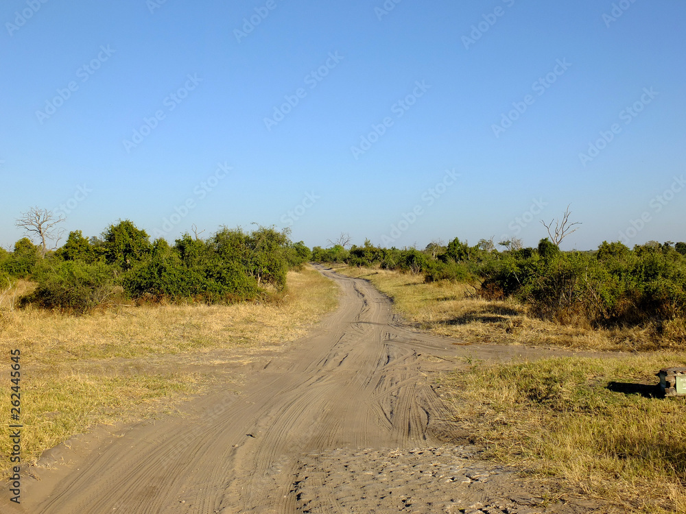 Botswana, Africa, Safari