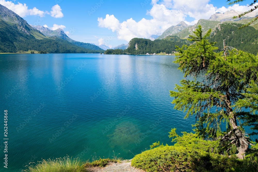 Fototapeta premium Der Silser See, ein beliebtes Ziel für Urlauber die gern Wasser und Berge vereint haben wollen