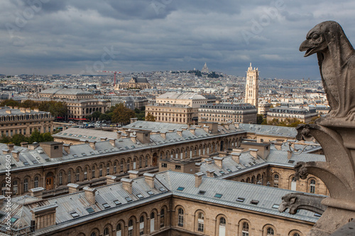 Mythical creature gargoyle on the roof of Cathedral Notre Dame de Paris. View from the tower. photo