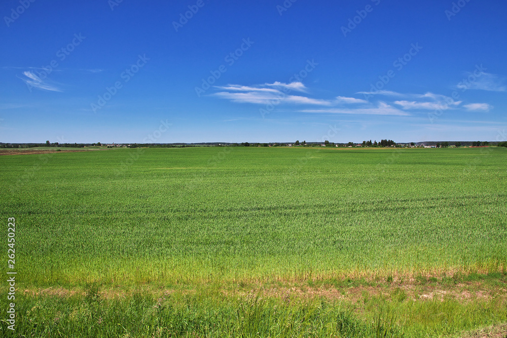Fototapeta premium Belarus