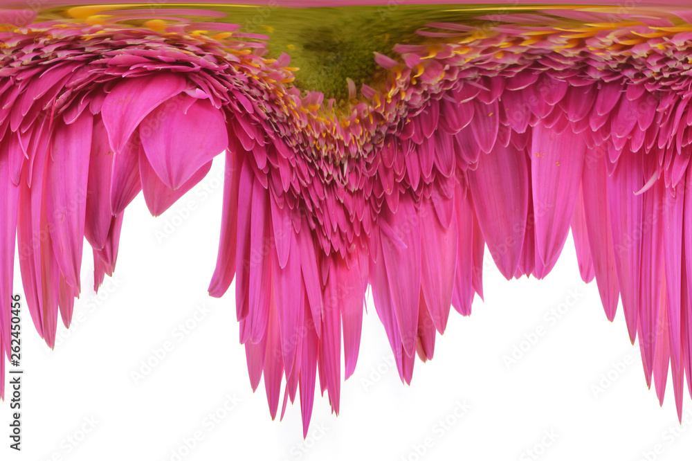 Fototapeta abstrakcyjne tło kolorowych kwiatów