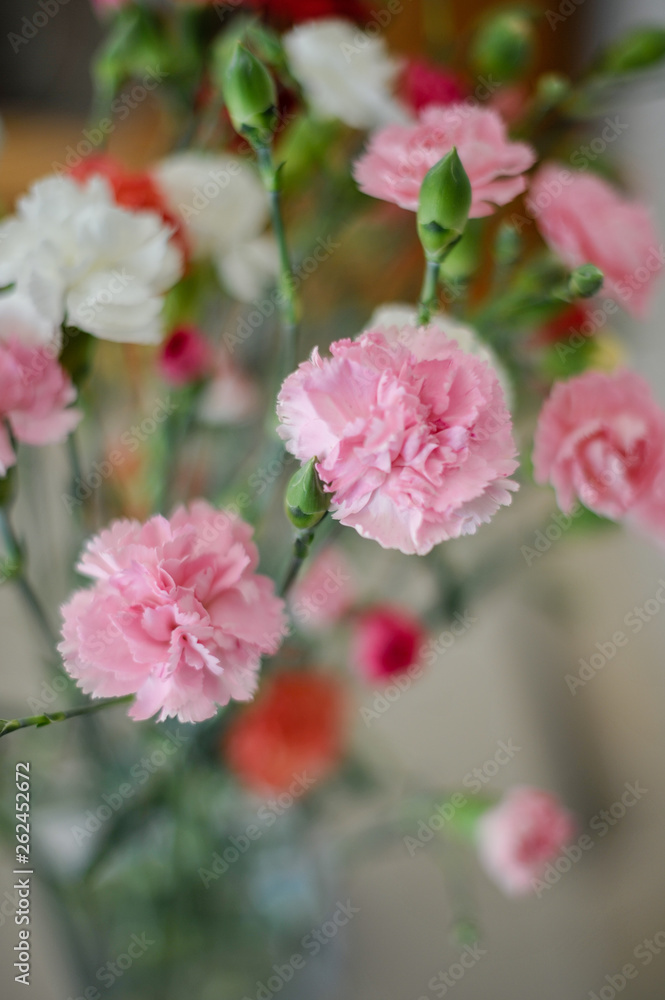Bouquet d'oeillets Bouquet d'oeillets