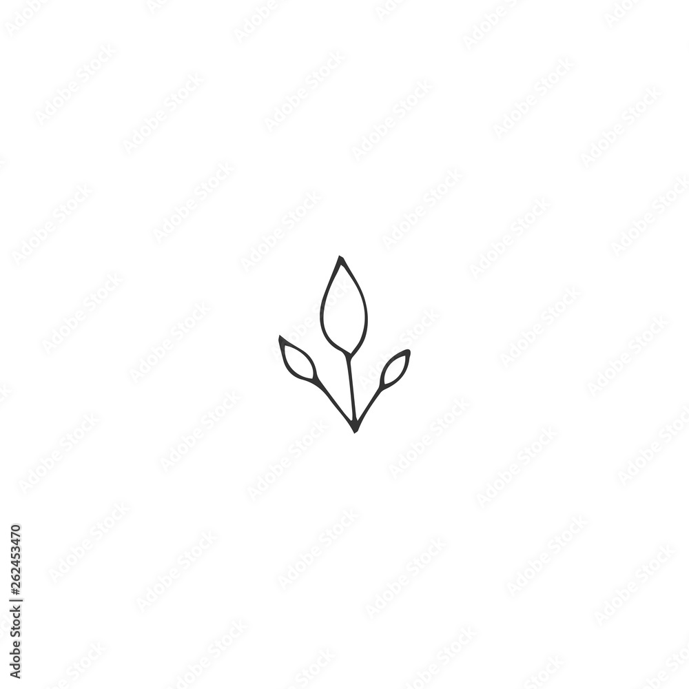 Vector logo element for nature or garden related business, a branch with leaves. Hand drawn isolated illustration.