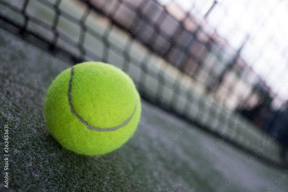 Paddle tennis balls, racket, balls and net