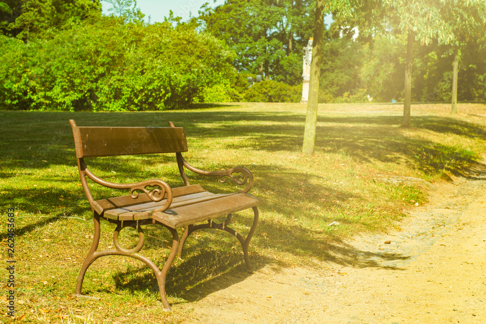 Empty wooden bench on a walkway in the park on a summer day Empty wooden bench on a walkway in the park on a summer day