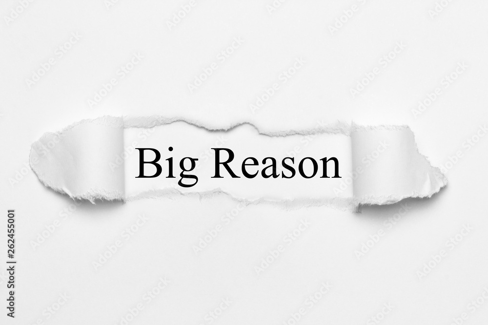 Big Reason on white torn paper Big Reason on white torn paper