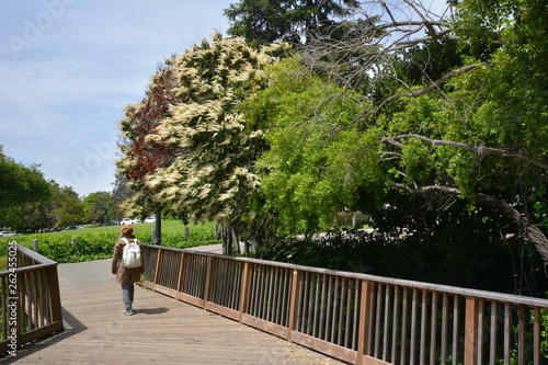 Photography Impressions from the University of California in Berkeley (founded in 1868, is o
