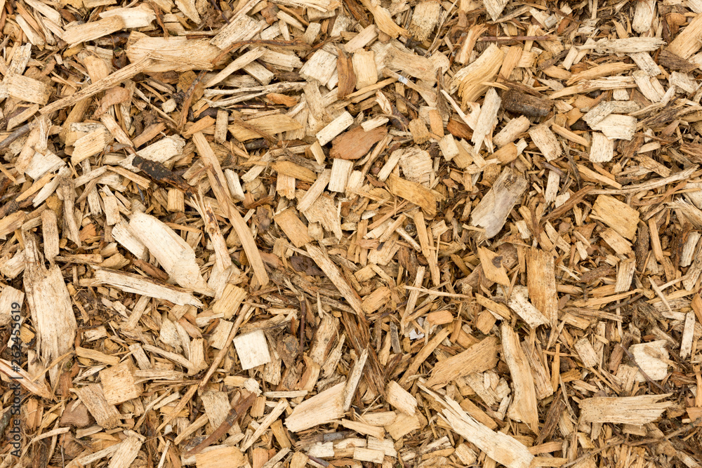 Bark Wood Chips For Landscaping - Top View - Abstract Background Bark Wood Chips For Landscaping - Top View - Abstract Background
