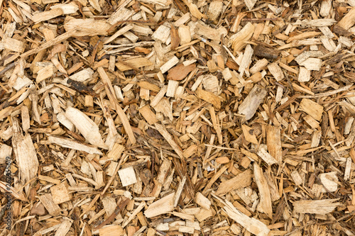 Bark Wood Chips For Landscaping - Top View - Abstract Background