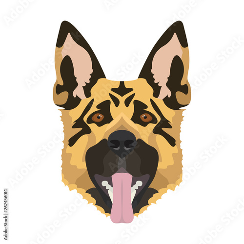 Illustration Schäferhund